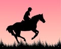 Rider on a horse galloping